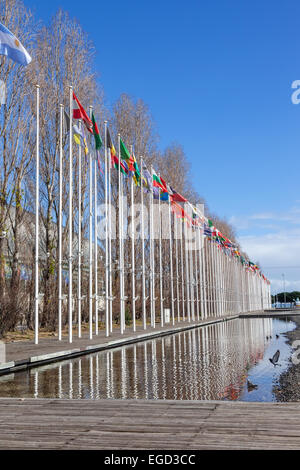 Les drapeaux des pays du monde dans le dos des Olivais Rossio (Olive Grove Square) dans le Parque das Nações (Parc des Nations). Lisbonne, Portugal Banque D'Images