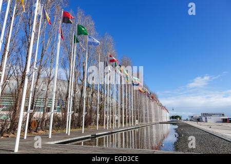 Les drapeaux des pays du monde dans le dos des Olivais Rossio (Olive Grove Square) dans le Parque das Nações (Parc des Nations). Lisbonne, Portugal Banque D'Images