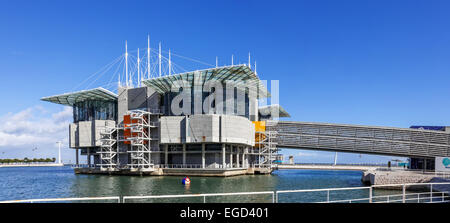 L'Océanarium de Lisbonne Oceanarium, le deuxième plus grand au monde et le plus grand en Europe. Lisbonne, Portugal. Banque D'Images