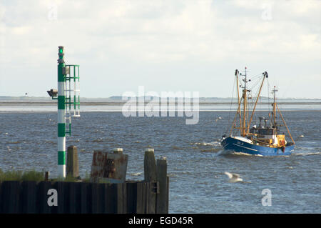 Bateau de pêche de retour au port de Lorient avec l'île de Schiermonnikoog aux Pays-Bas dans la distance Banque D'Images