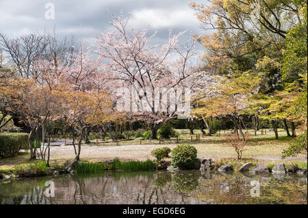 Printemps dans le jardin Shosei-en, centre de Kyoto, Japon Banque D'Images