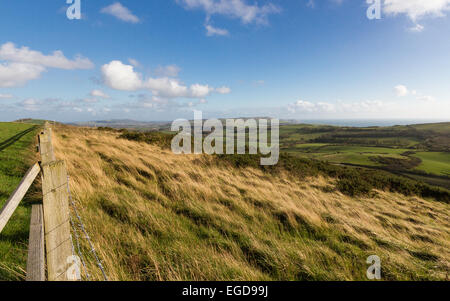 Plus de paysage à la Crique de Lulworth Dorset UK Banque D'Images