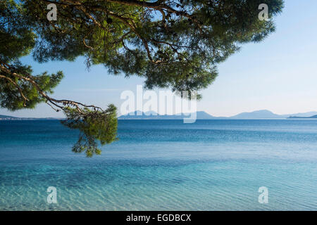 Playa de Formentor, à proximité de Pollensa, Majorque, Espagne Banque D'Images