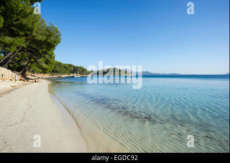 Playa de Formentor, à proximité de Pollensa, Majorque, Espagne Banque D'Images