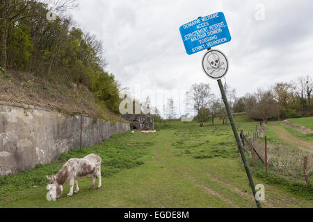 L'installation de plein air de Fort Eben-Emael à Liège, Belgique Banque D'Images