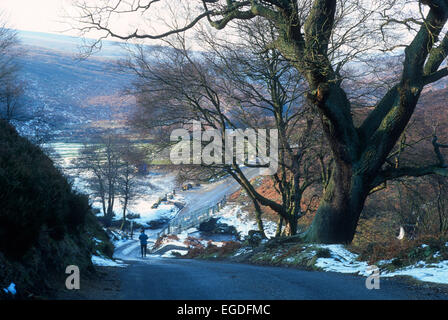Le dirigeant d'une scène d'hiver walker près de Rievaulx, North Yorkshire, UK Banque D'Images