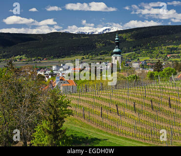 Vue vers Baden avec vignobles, Baden bei Wien, Autriche, Autriche Banque D'Images