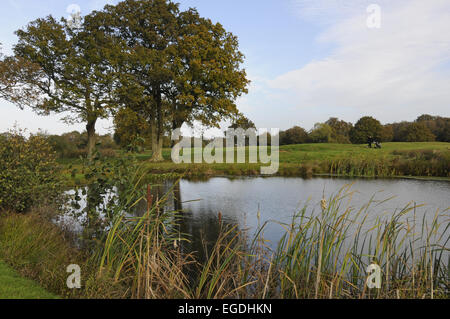 Vue sur l'étang sur le 1er trou du parcours forestiers Wildwood Golf and Country Club Alfold Surrey England Banque D'Images