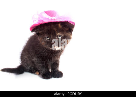 Chaton noir avec pink hat isolated on white Banque D'Images