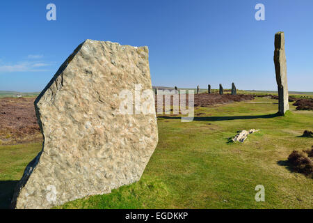 Pierres néolithiques, anneau de Shetlands, Site du patrimoine mondial de l'UNESCO Le Coeur néolithique des Orcades, îles Orcades, Ecosse, Grande-Bretagne, Royaume-Uni Banque D'Images