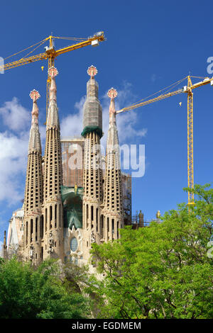 Église de la Sagrada Familia, la Basilique et l'Église expiatoire de la Sainte Famille, l'architecte Antoni Gaudi, Site du patrimoine mondial de l'UNESCO, de l'architecture moderniste Catalan, Art Nouveau, de l'Eixample, Barcelone, Catalogne, Espagne Banque D'Images