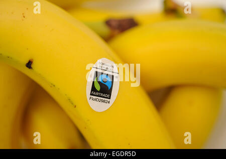 Bananes Banque D'Images