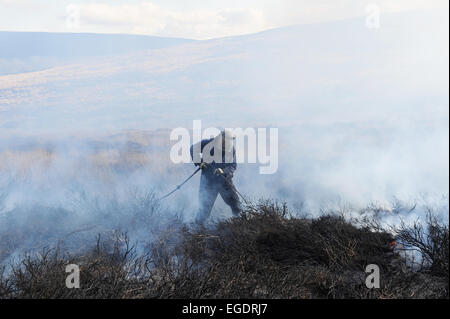 La gravure du heather à revigorer une nouvelle croissance. Une stratégie utilisée par la gestion des Landes dans le North York Moors. Banque D'Images