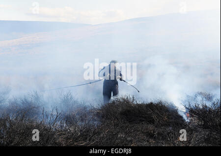 La gravure du heather à revigorer une nouvelle croissance. Une stratégie utilisée par la gestion des Landes dans le North York Moors. Banque D'Images