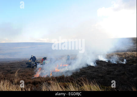 La gravure du heather à revigorer une nouvelle croissance. Une stratégie utilisée par la gestion des Landes dans le North York Moors. Banque D'Images