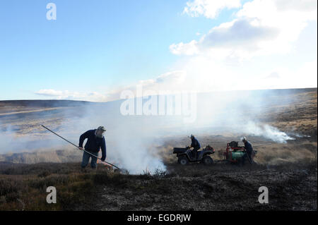 La gravure du heather à revigorer une nouvelle croissance. Une stratégie utilisée par la gestion des Landes dans le North York Moors. Banque D'Images