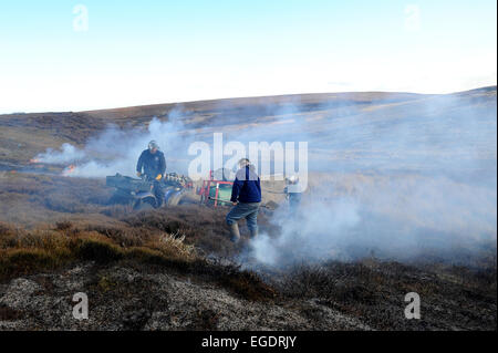 La gravure du heather à revigorer une nouvelle croissance. Une stratégie utilisée par la gestion des Landes dans le North York Moors. Banque D'Images