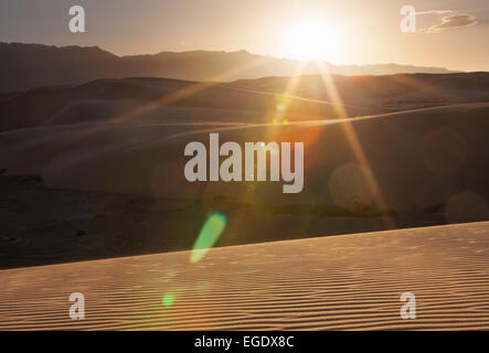 Khongoryn Els sand dunes, Omnogov, le Gobi, Mongolie Banque D'Images