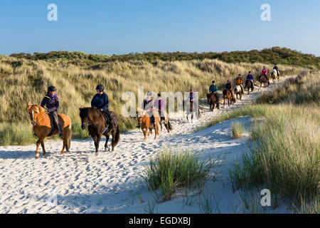 L'équitation dans les dunes de l'Île Spiekeroog, Nationalpark, Mer du Nord, îles de la Frise orientale, Frise orientale, Basse-Saxe, Allemagne, Europe Banque D'Images