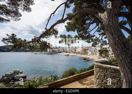 Avis de Calella de Palafrugell, Palafrugell, Costa Brava, Espagne Banque D'Images