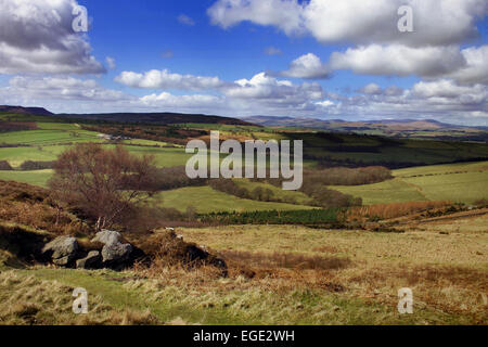 Paysage près de Northumberland Northumberland, Edlingham Banque D'Images