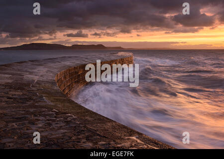 Un lever de soleil sur l'Cobb à Lyme Regis, dans le Dorset. Banque D'Images