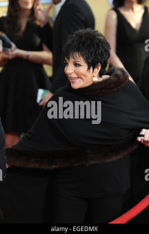 LOS ANGELES, CA - le 18 janvier 2014 : Liza Minnelli lors de la 20e assemblée annuelle des Screen Actors Guild Awards au Shrine Auditorium. Banque D'Images