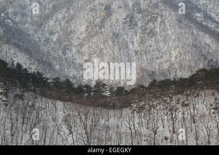 Le Parc National de Seoraksan en hiver. Balade à Ulsanbawi Rock. Sokcho, Corée du Sud. Montagnes couvertes de neige. Banque D'Images