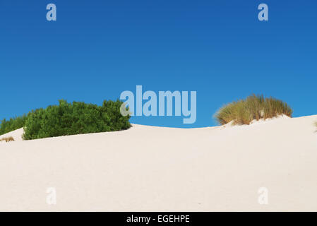 Dunes de sable blanc avec des buissons dans Little Sahara, Kangaroo Island, Australie du Sud Banque D'Images
