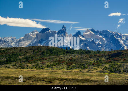 Vue imprenable sur les plaines herbeuses et les montagnes enneigées du Parc National Torres del Paine Banque D'Images