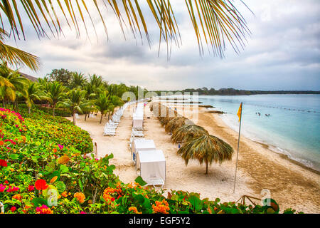 Chaises de salon sous le chaume umbellas sur le sable blanc d'un complexe en front de mer des Caraïbes. Banque D'Images