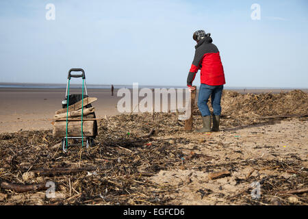 Driftwood collecte pensionné déposés sur l'estran, à la ligne des hautes eaux, après une nuit de tempête de vent dans la mer irlandaise a quitté la plage couverte de débris et de déchets de bois flotté Banque D'Images