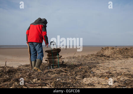 Driftwood collecte pensionné déposés sur l'estran, à la ligne des hautes eaux, après une nuit de tempête de vent dans la mer irlandaise a quitté la plage couverte de débris et de déchets de bois flotté Banque D'Images