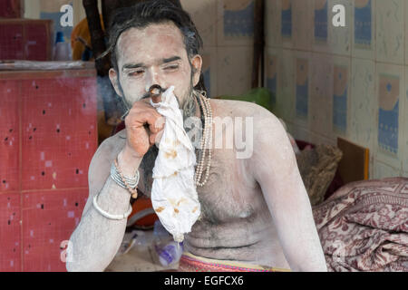 Naga Sadhu Fumeurs Chillum, Shivratri, Mela Bhavnath Banque D'Images