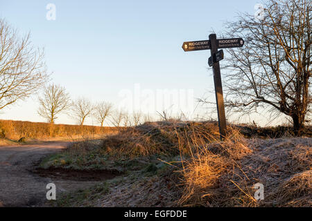 Matin soleil d'hiver sur un panneau Ridgeway. Oxfordshire, Angleterre Banque D'Images