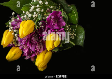 Fleurs de Printemps - tulipe jaune et violet l'alstroemeria (Peruvian lily ou lis des Incas) - Fond noir Banque D'Images