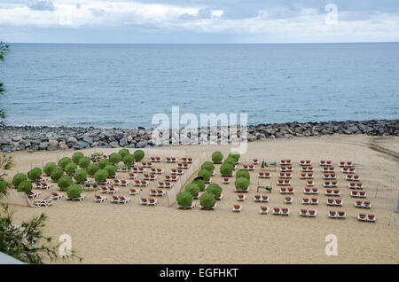 Vide transats à la plage avec parasols vert à l'achat, Banque D'Images