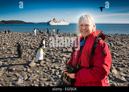 L'Atlantique Sud, la Géorgie du Sud, la plaine de Salisbury, touristiques sur plage avec king penguins Banque D'Images