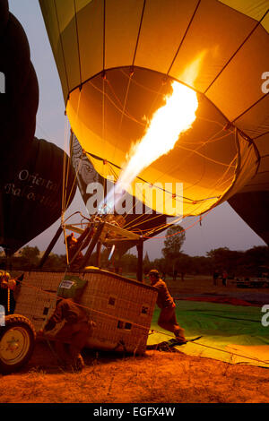 La préparation d'un ballon à air chaud pour le lancement, Bagan, Myanmar ( Birmanie ), l'Asie Banque D'Images