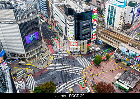 TOKYO - 15 novembre : croisement de Shibuya le 12 novembre 2014 à Tokyo, Japon. Le passage est l'un des plus connu d'exam Banque D'Images