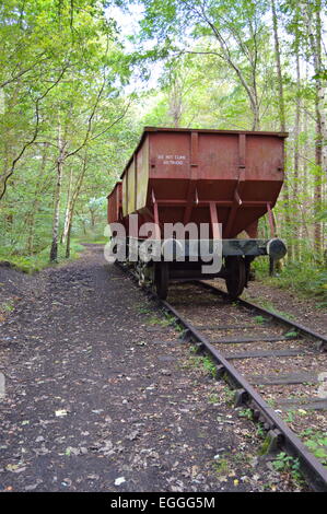 Les camions de charbon sur l'ancien par wagonway Chopwell Woods à Gateshead. Banque D'Images