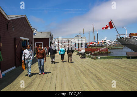 La promenade le long du front de mer d'Halifax, en Nouvelle-Écosse. Banque D'Images