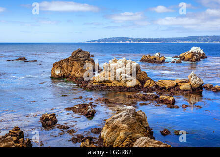 Point Lobos State Reserve. Le comté de Monterey, en Californie, aux États-Unis. Banque D'Images