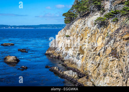 Vue sur l'océan et la côte rocheuse à la Point Lobos State Reserve. Le comté de Monterey, en Californie, aux États-Unis. Banque D'Images