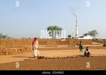 Famille indienne travaillant dur en briques faites à la main et de les laisser sécher au soleil le Madhya Pradesh, Inde Banque D'Images