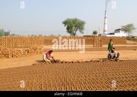 Famille indienne travaillant dur faire des briques briques faites à la main et de les laisser sécher au soleil le Madhya Pradesh, Inde Banque D'Images