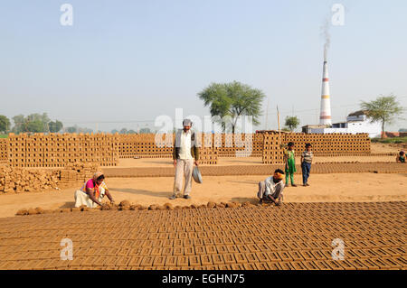 Famille indienne travaillant dur en briques faites à la main et de les laisser sécher au soleil briqueteries indien Inde Madhya Pradesh Banque D'Images