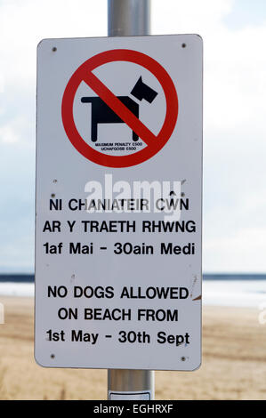 Chiens non admis sur beach sign en anglais et gallois, La Baie de Swansea, Pays de Galles, Royaume-Uni. Banque D'Images