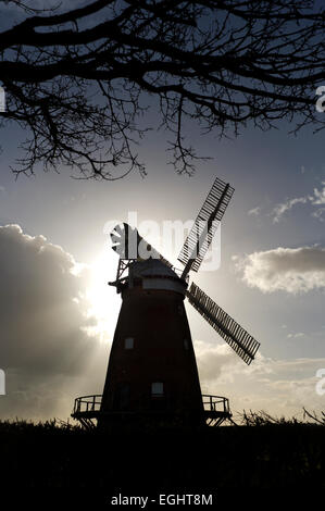 Thaxted John Webb, le moulin de Thaxted, Essex, Angleterre. Mar 2015 Banque D'Images