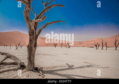 Paysage surréaliste dans le désert du Namib au lever du soleil Banque D'Images